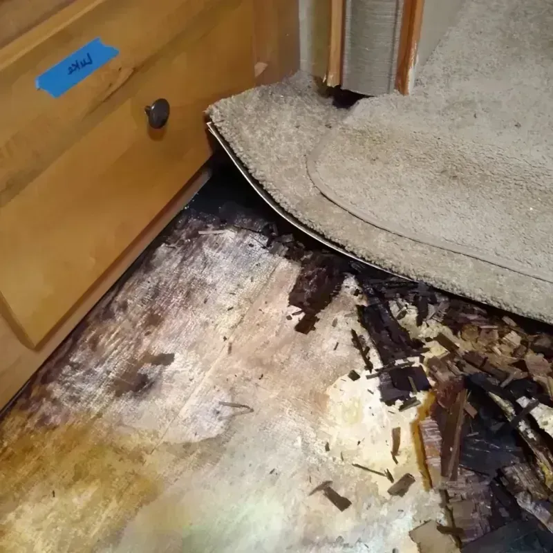 Best Wood Floor Water Damage Service in Folsom, NJ